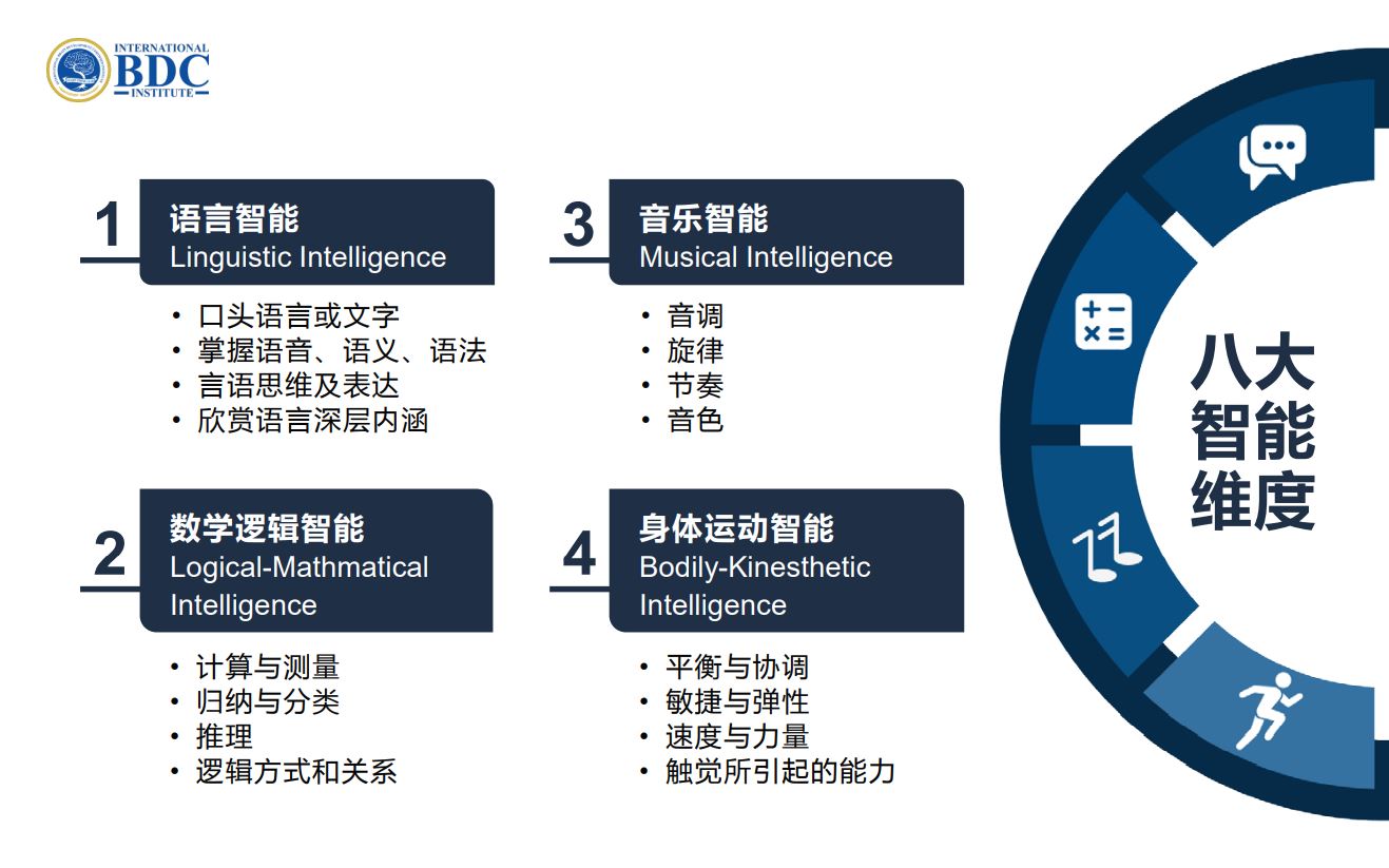 ibdci multiple intelligences Program
