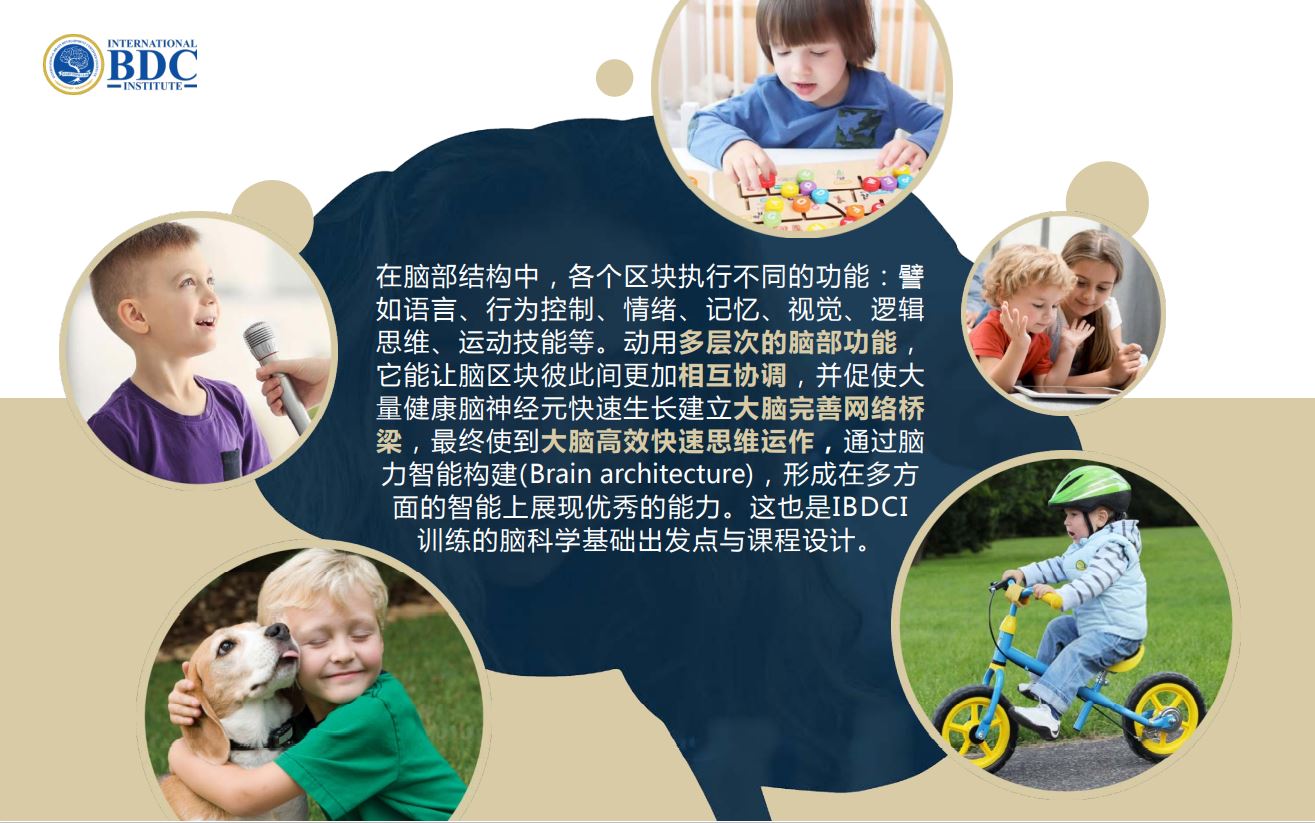 ibdci brain architecture