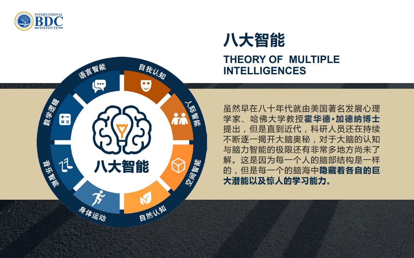 ibdci multiple intelligence