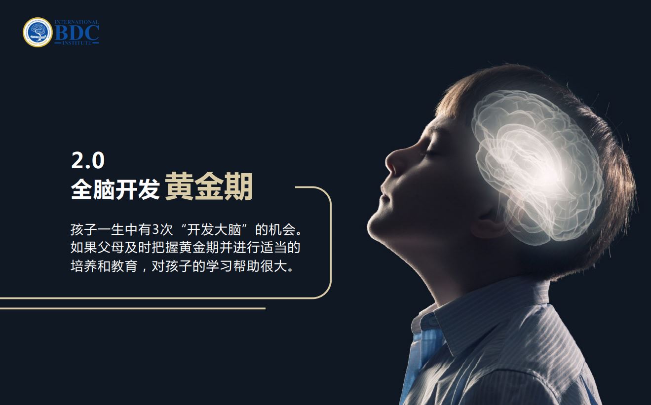 ibdci brain development