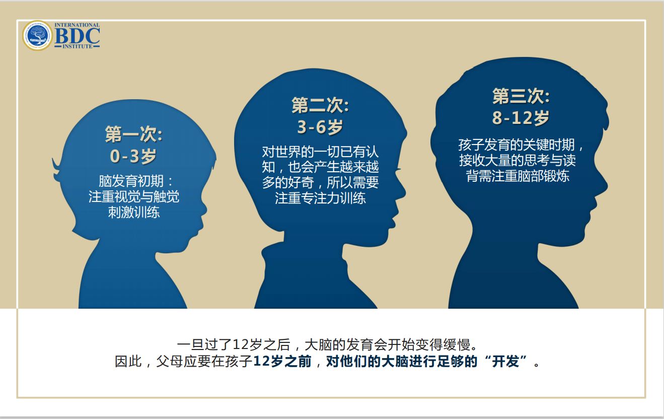 ibdci golden brain development