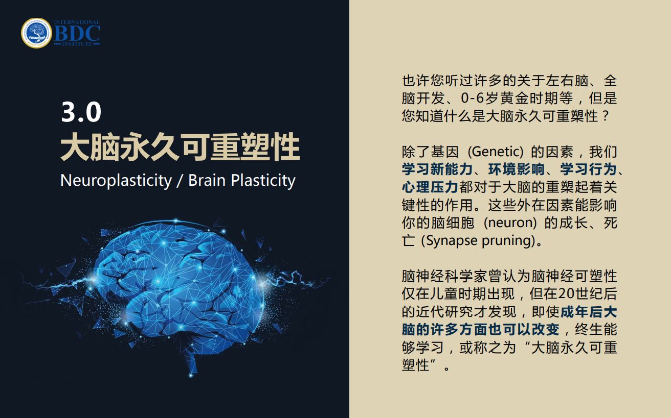 ibdci brain neuroplasticity